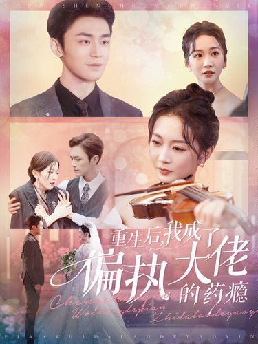 重生后我成了偏执大佬的药瘾第01集