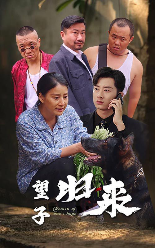 望子归来第01集