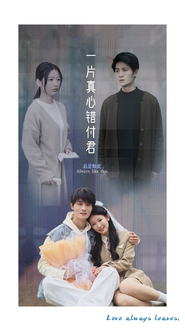 一片真心错付君全集完结(大结局)