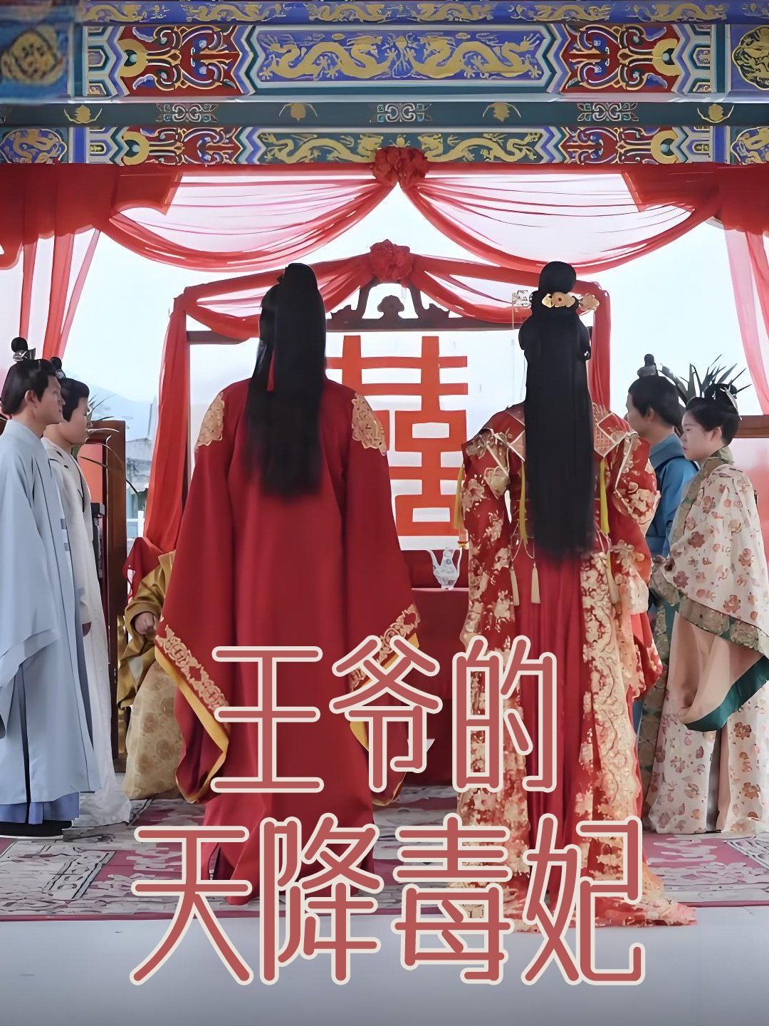 王爷的天降毒妃第1-20集