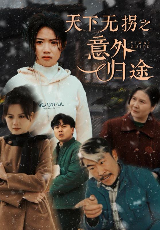 天下无拐之意外归途第1-30集