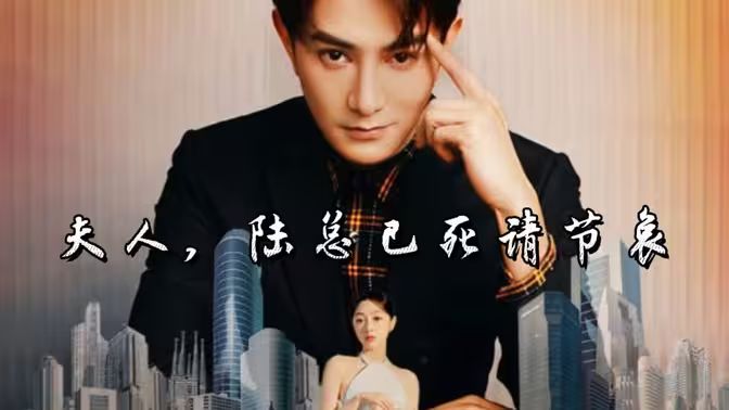 夫人，陆总已死请节哀第01集