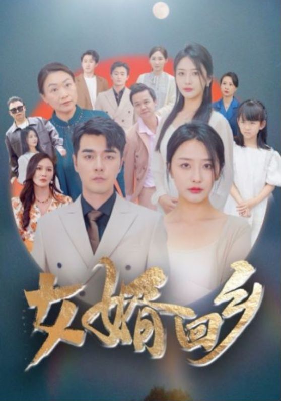 女婿回乡第01集