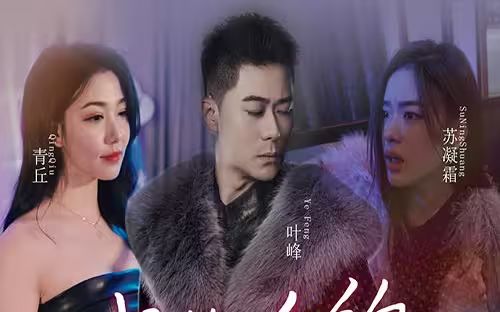 我的合约总裁未婚妻第1-30集