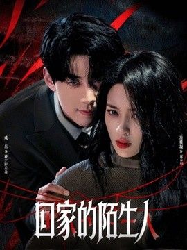 回家的陌生人(全集)