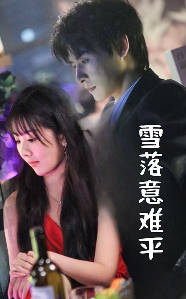 雪落意难平第01集