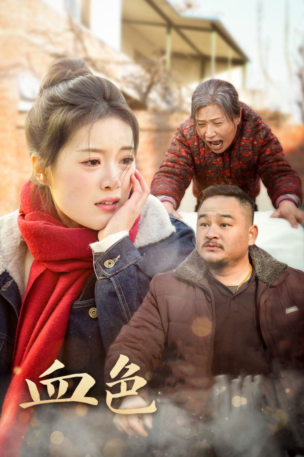 血色亲情第1-20集