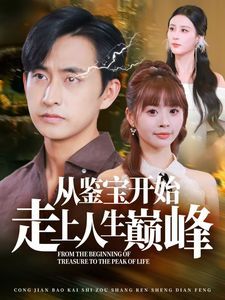 从鉴宝开始走上人生巅峰第01集