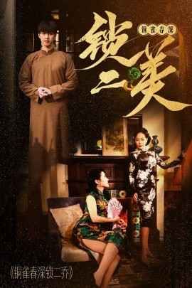 铜雀春深锁二美第1-20集