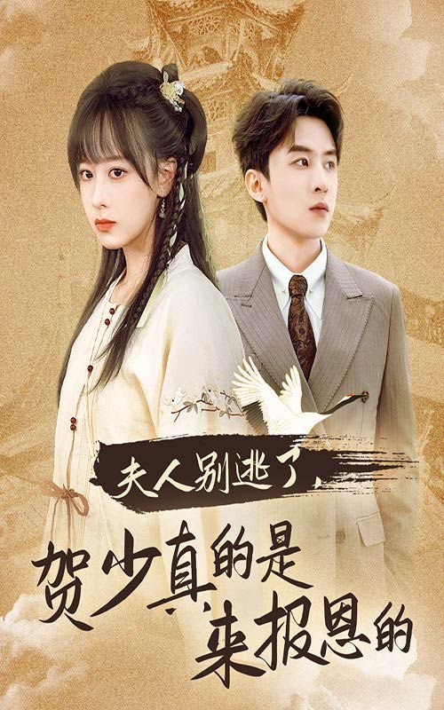 夫人别逃了贺少真的是来报恩的第01集