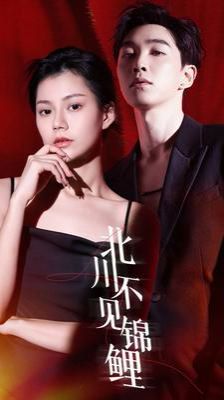 北川不见锦鲤第01集