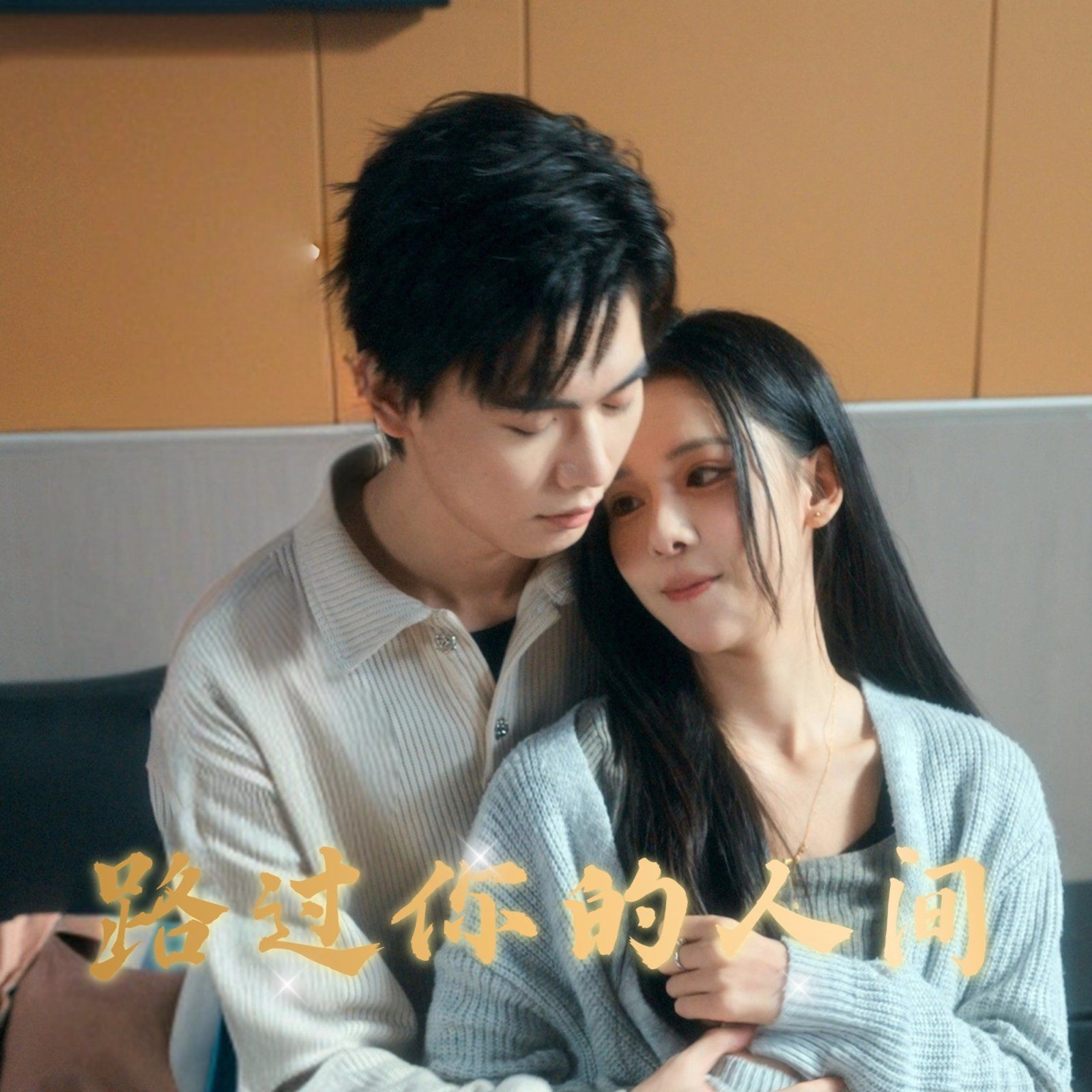 路过你的人间第1-20集