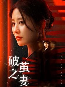 破茧之妻（婚姻的救赎）第1-20集