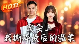 聚会上，我撕碎最后的温柔(全集)