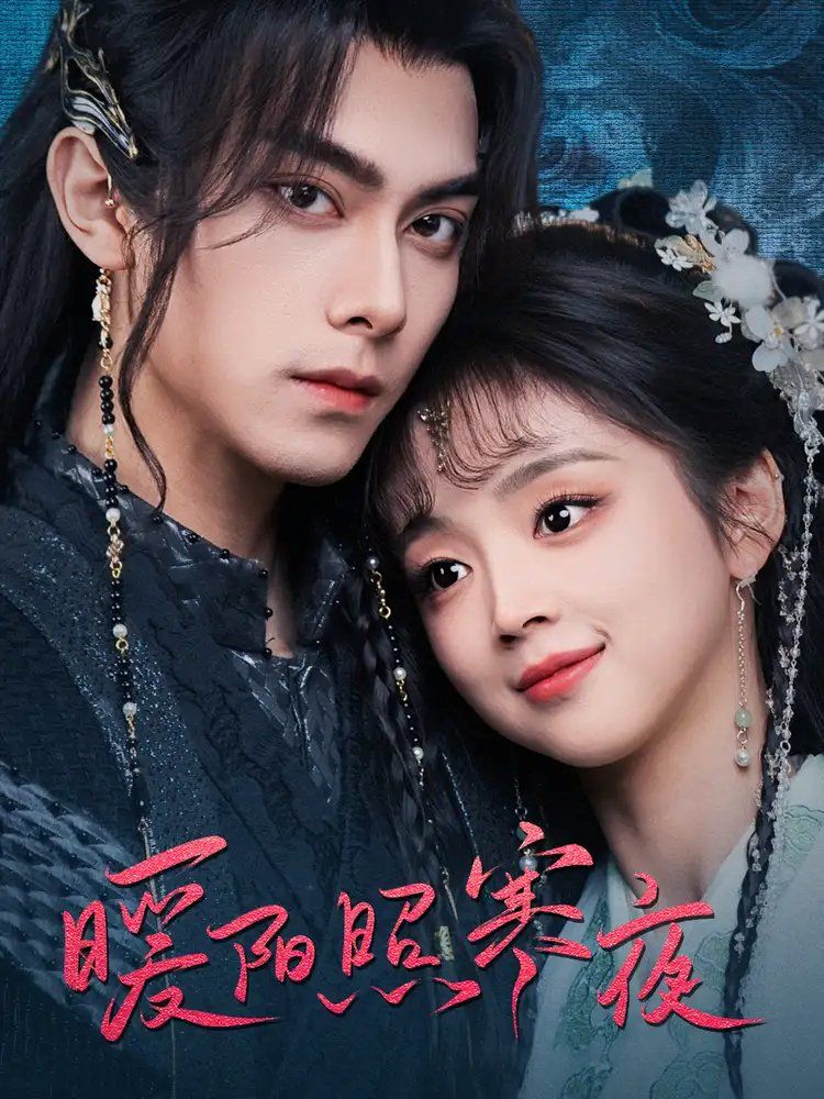 暖阳照寒夜第41-68集完结(大结局)