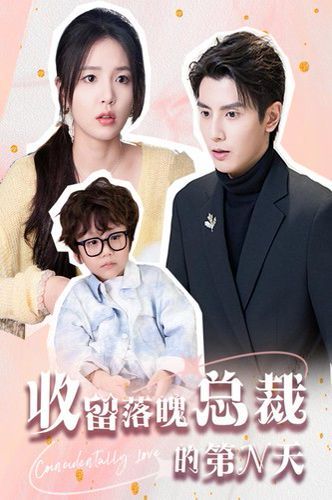 收留落魄总裁的第N天第01集