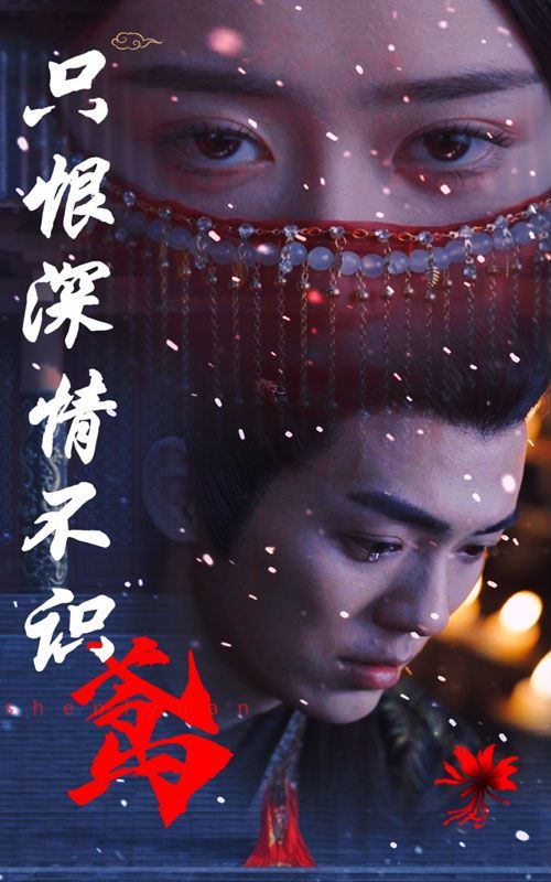 只恨深情不识鸢第01集