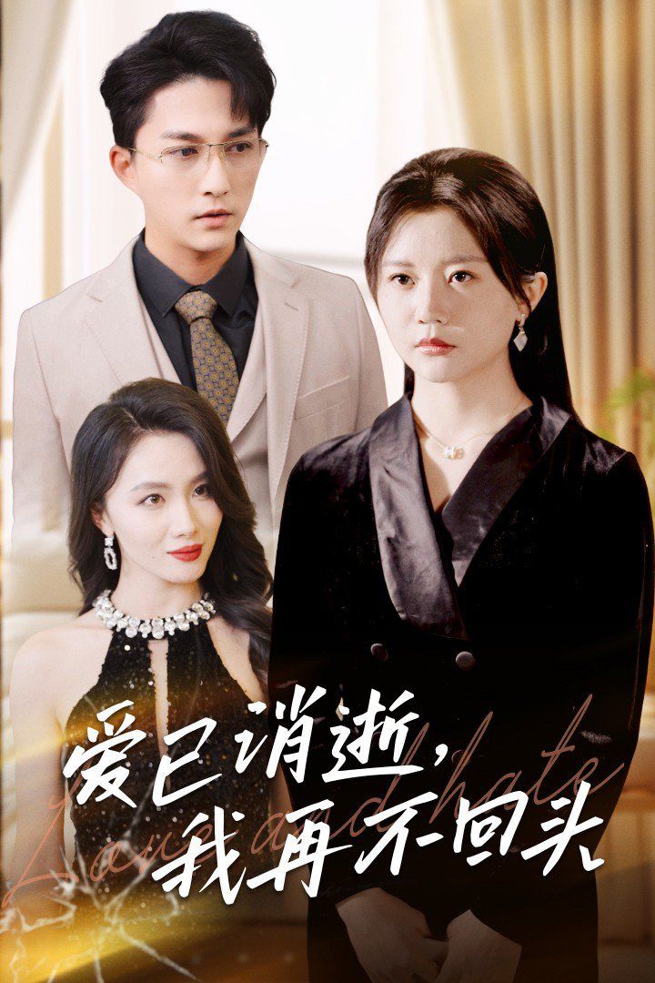 爱已消逝我再不回头第01集