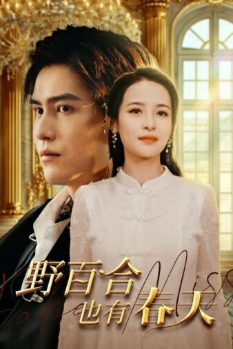 野百合也有春天第1-20集