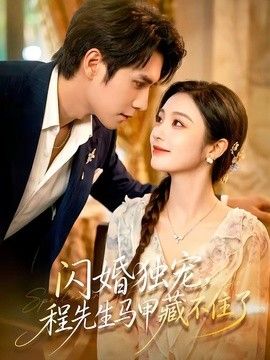闪婚独宠，程先生马甲藏不住了(全集)