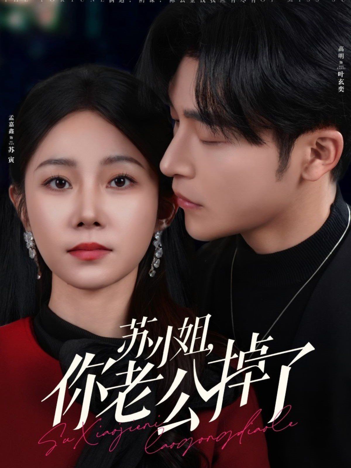 苏小姐你老公掉了第1-20集