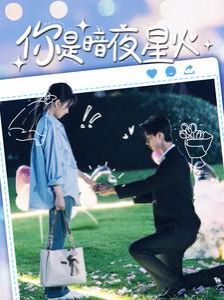 你是暗夜星火第101集