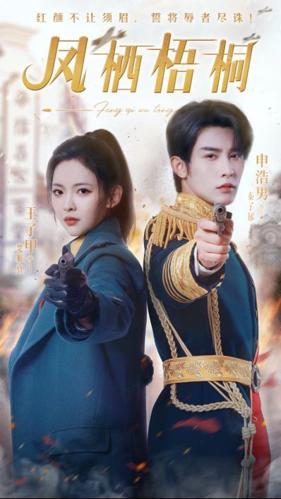 凤栖梧桐第01集