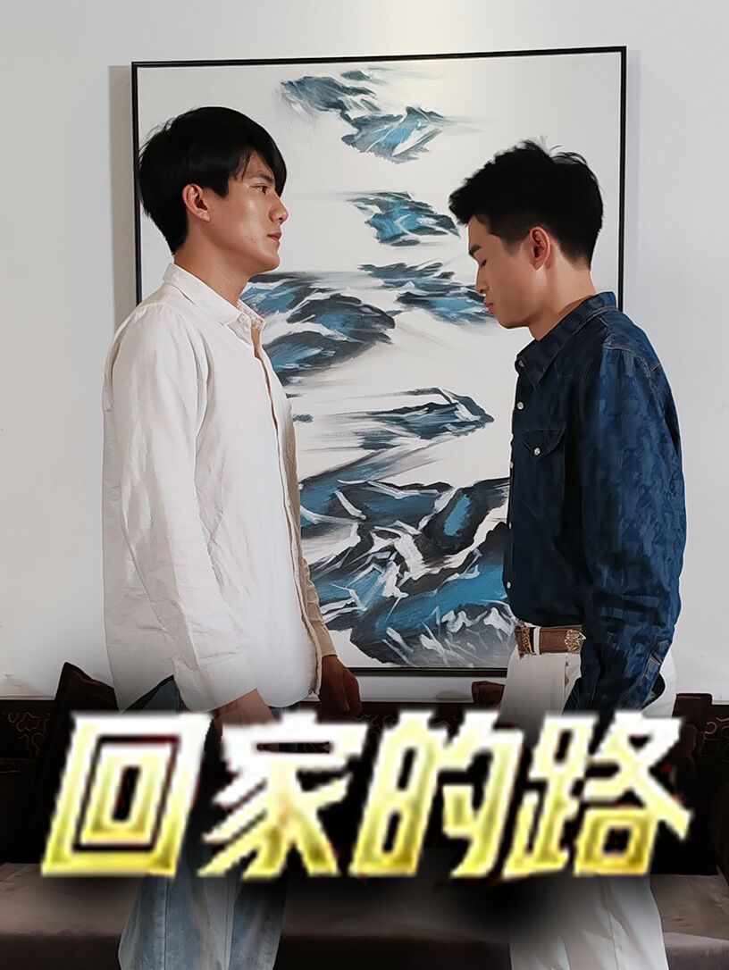 回家的路第1-20集