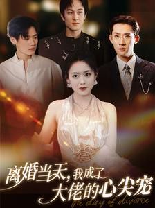 离婚当天我成了大佬的心尖宠第01集