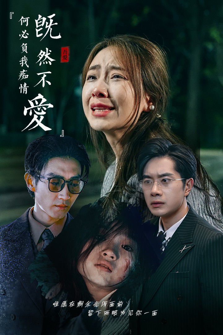 既然不爱何必负我痴情第01集