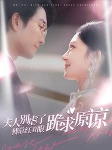 夫人别虐了傅总红着眼跪求原谅第01集