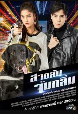 侦探K9普国语第01集