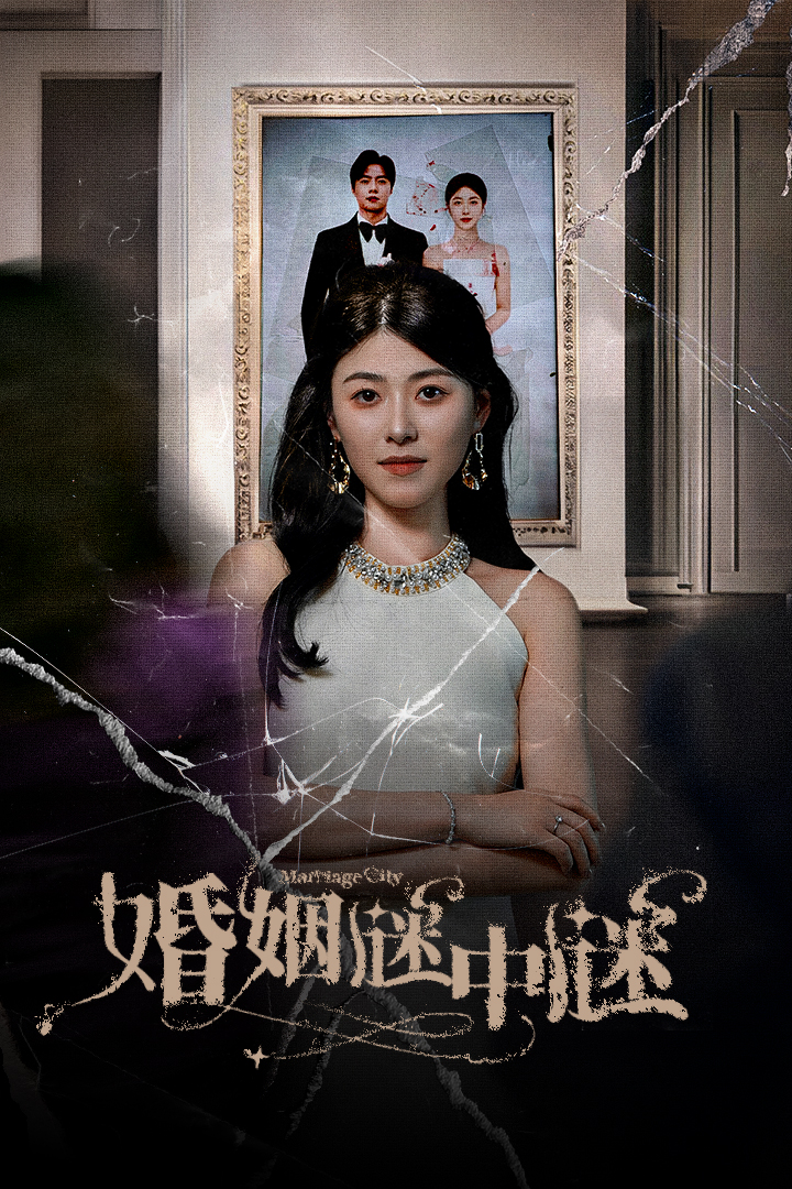 婚姻谜中谜第01集