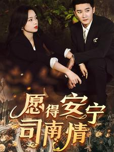 愿得安宁司南情第1集