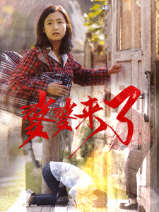 婆婆来了（短剧版）第4集