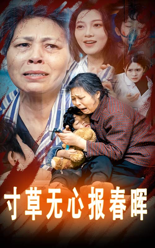 寸草无心报春晖第12集