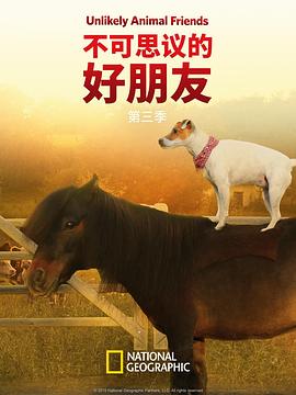 不可思议的好朋友第三季(全集)