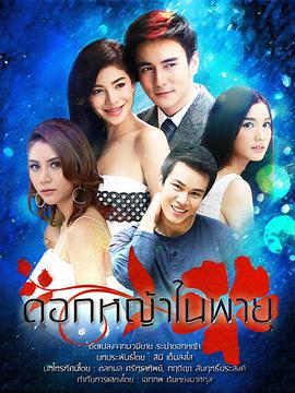 暴风中的草花第01集