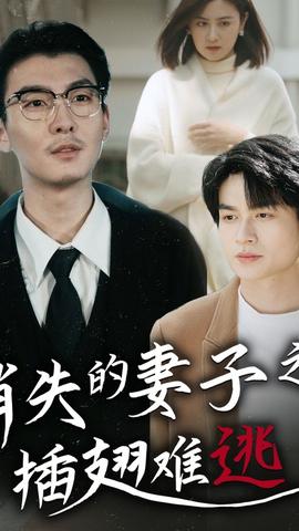 消失的妻子之插翅难逃全集(大结局)