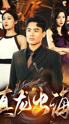 真龙出海全集(大结局)