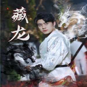 藏龙 74集版全集(大结局)