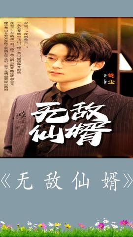 无敌仙婿全集(大结局)