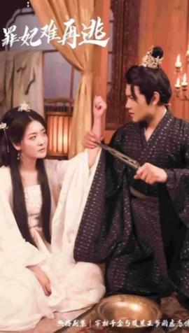 只愿从来不识君&罪妃难再逃全集(大结局)